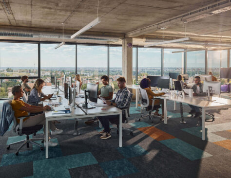 a group of employees working in a bright office in Toronto