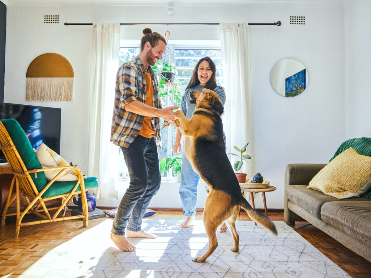 Can We Take Your Dog To Canada