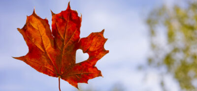 Do I Qualify for Canadian Citizenship by Descent? A Guide for Americans